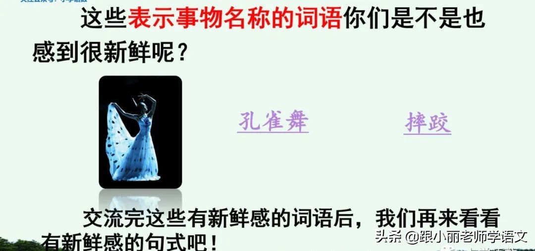 大青树下的小学重要背诵内容,大青树下的小学必会知识点