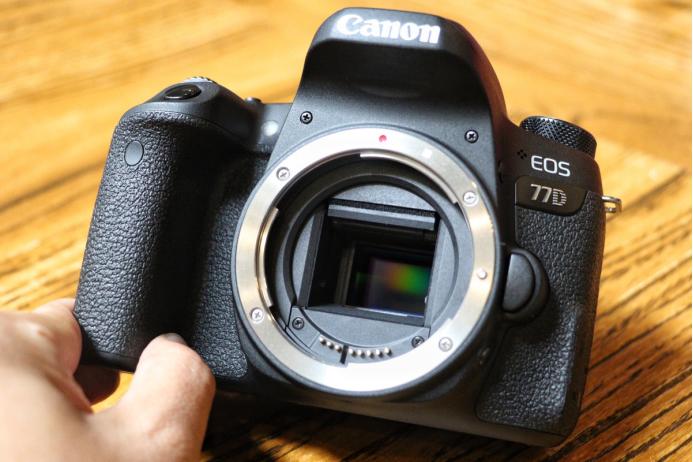 佳能入门单反推荐佳能77d,佳能77D入门