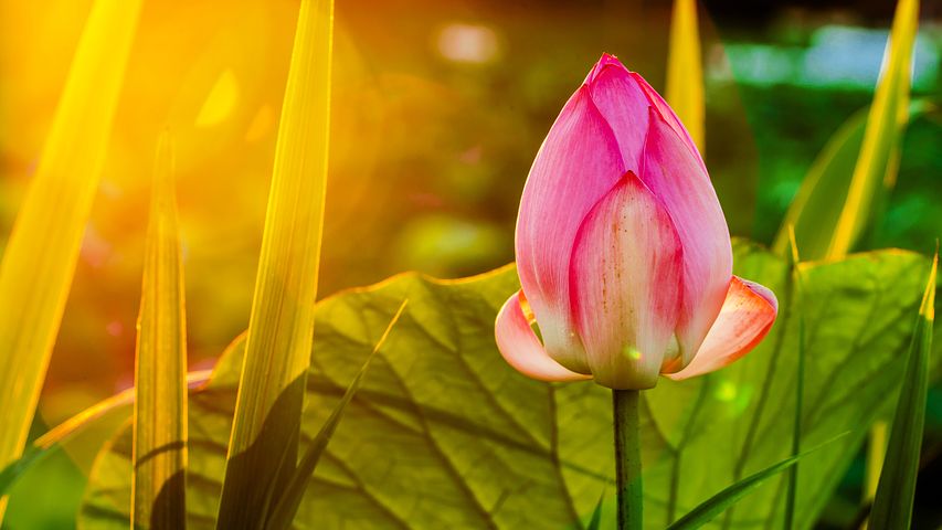 赵小明心理专业排名,赵小明心理学视频全集