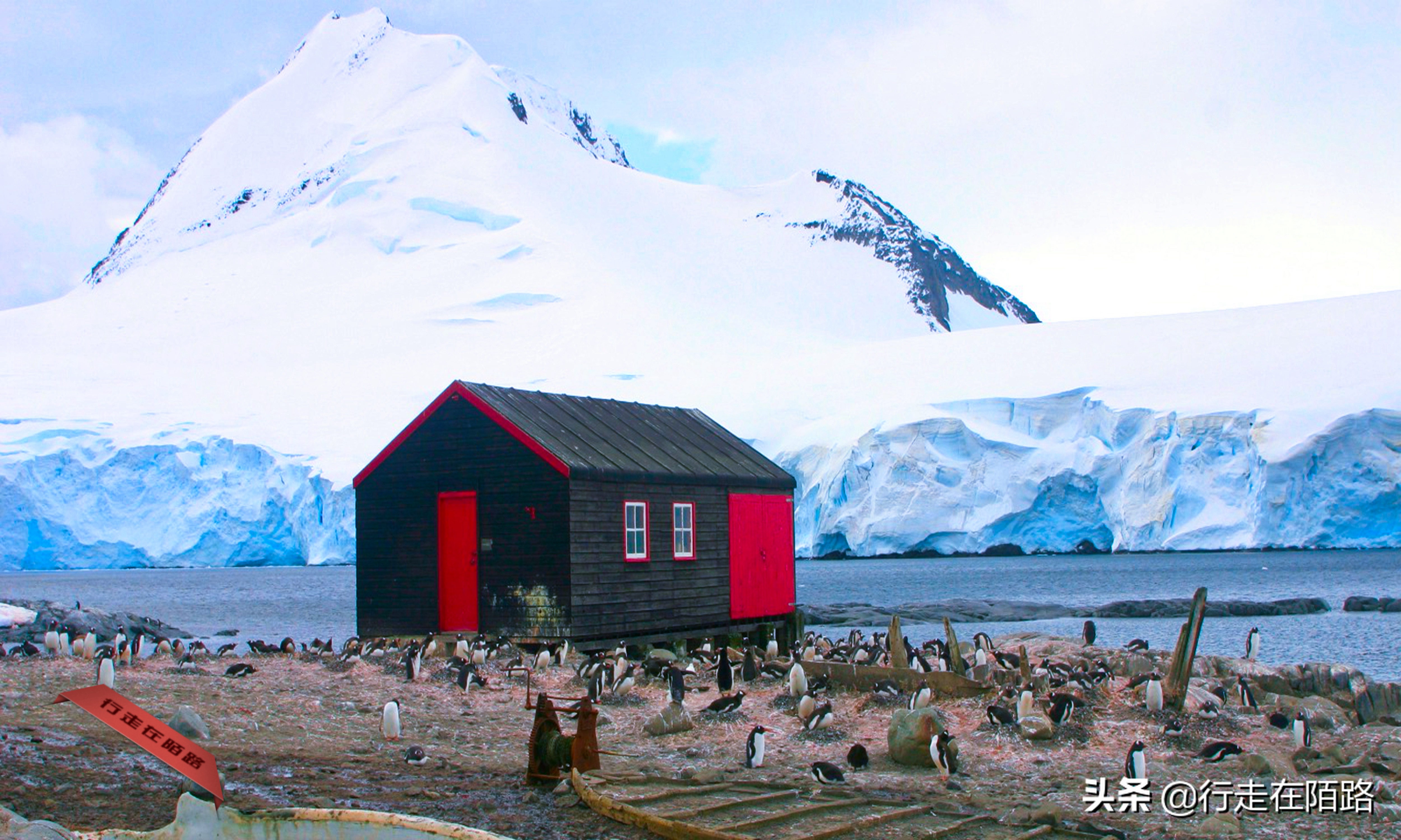 铲屎官招聘,邮局招聘吗