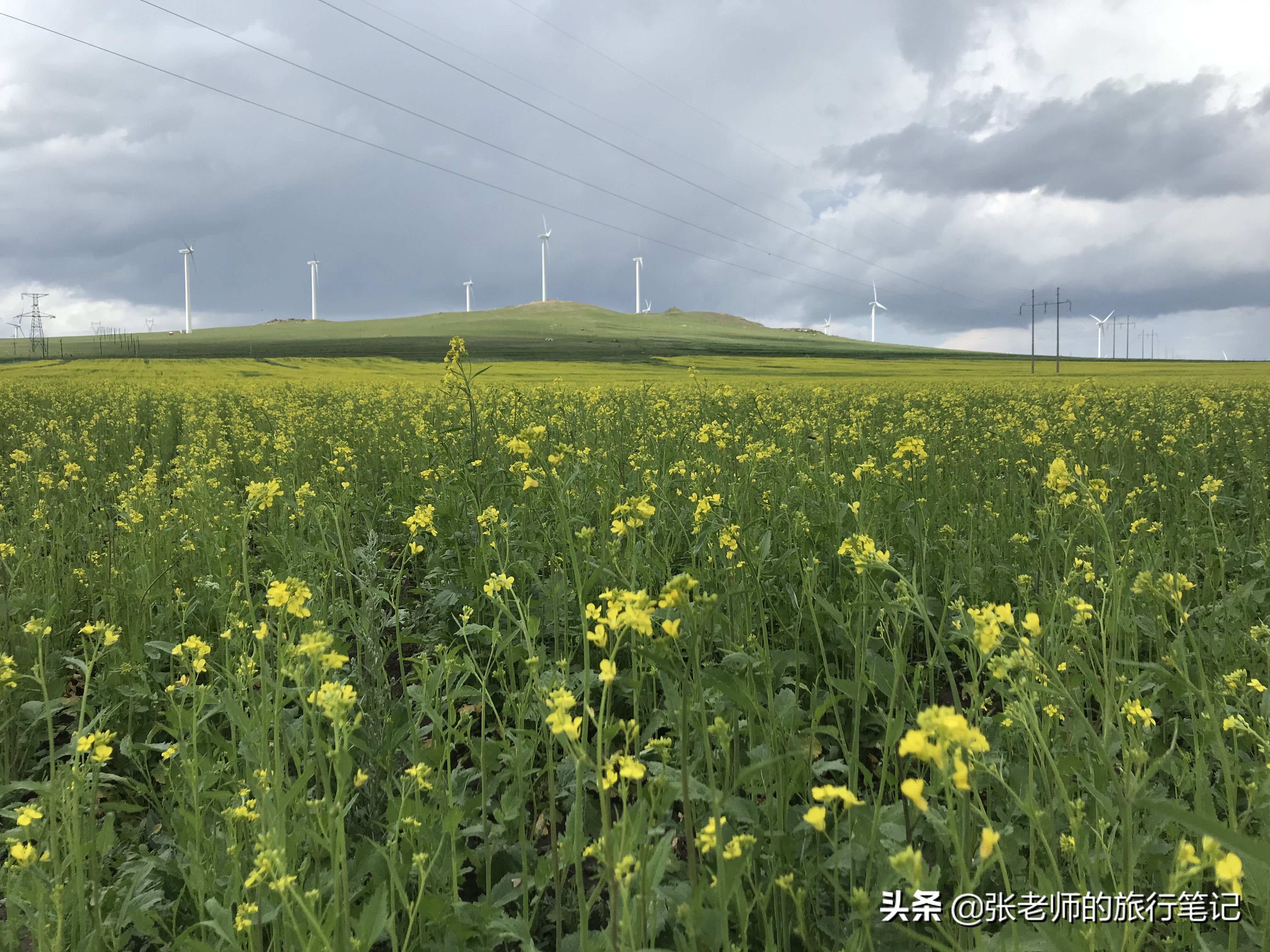 乌兰察布黄花沟草原自驾游,乌兰察布大草原黄花沟网红民宿