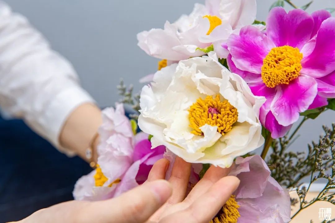 广州最便宜的花卉市场1块钱,广州岭南花卉市场买花攻略