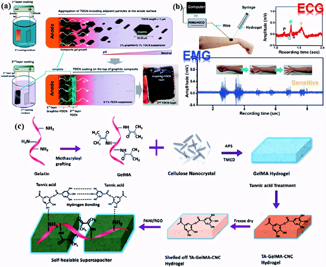 全纤维素超级电容器,木质素气凝胶超级电容器