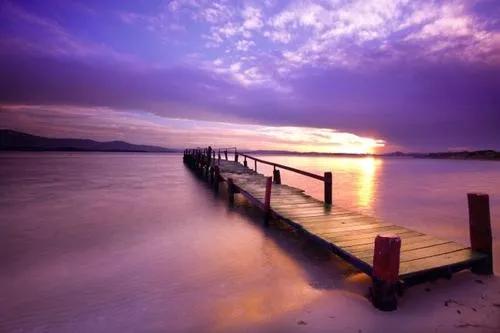 一件快乐的事作文250字左右,一件快乐的事作文300字四年级