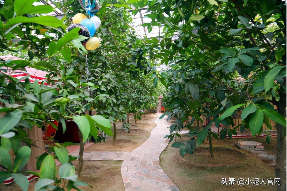 北京第五季龙水凤港与小泥人合作实时监控功能，开启小程序新时代