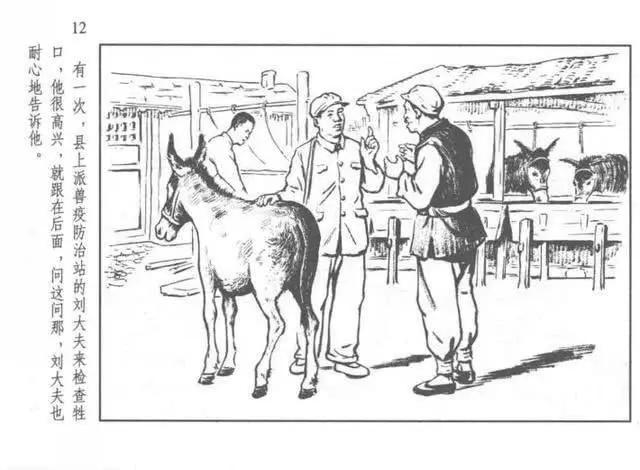 旧课本《饲养员赵大叔》图片,饲养员赵大叔是几年级课本