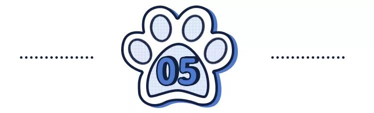 猫狗必备的药,收藏必备药品