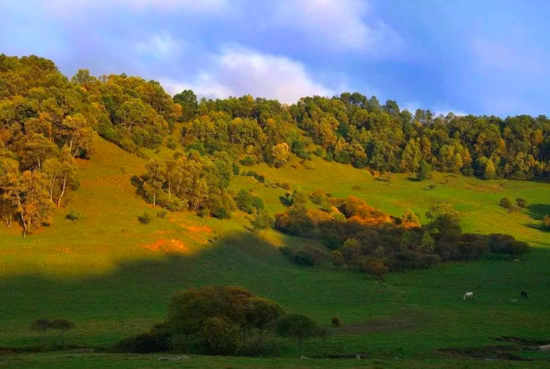 李贺反差最大的两首诗,李贺最出名的一句诗