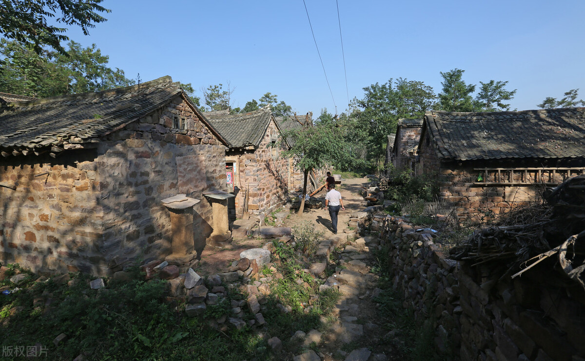 养猪大王2018,养猪大王致富经