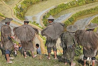 红楼梦贾宝玉戴斗笠是哪一集,三版红楼梦林黛玉给宝玉戴斗笠