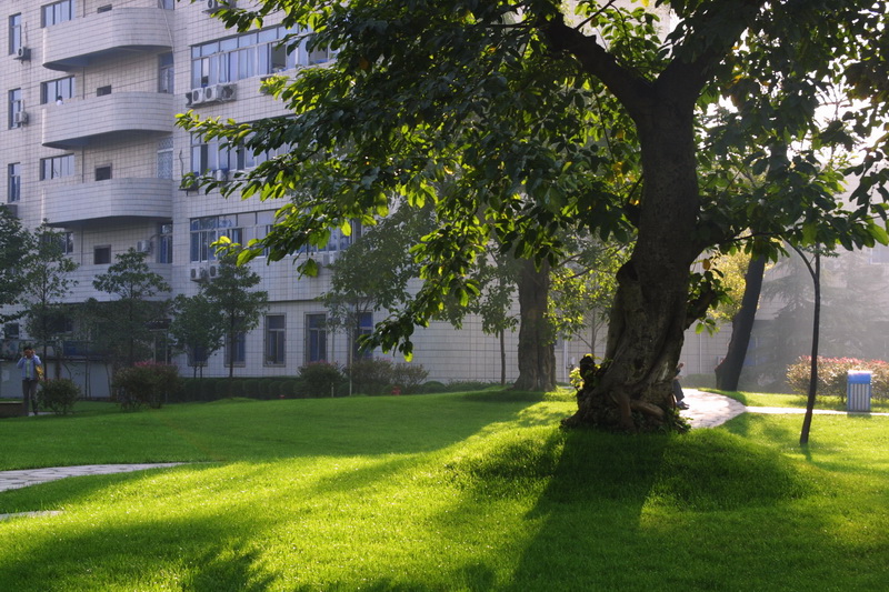 火了！125家大型国企携6000余个优质岗位，在四川这所高校上演抢人大战！