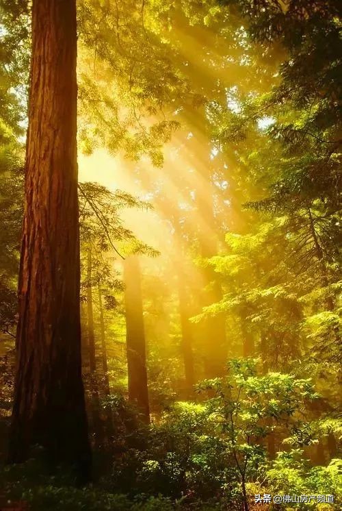 晨读激励人心的美好句子,晨读生命中遇到的每一个人