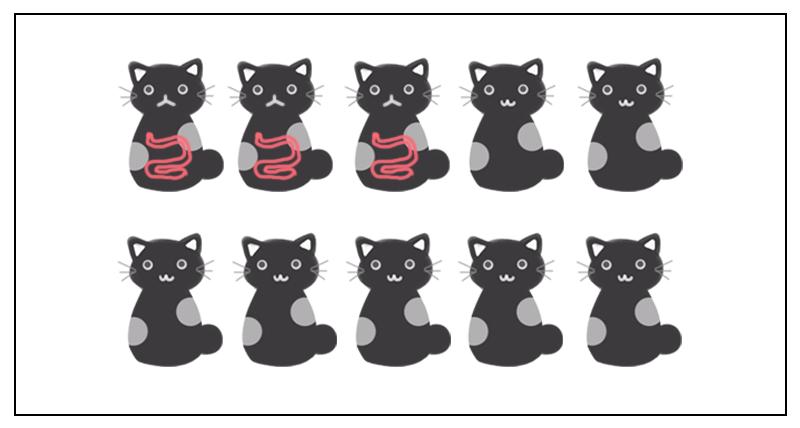 猫咪吃了猫砂便秘怎么排出来,猫咪便秘怎么办6招教你解决