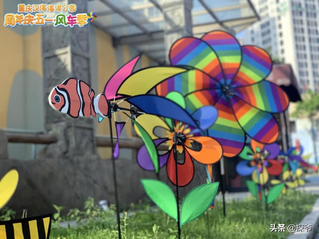 重庆某海洋公园半夜现神秘“驴叫”竟然是企鹅在叫