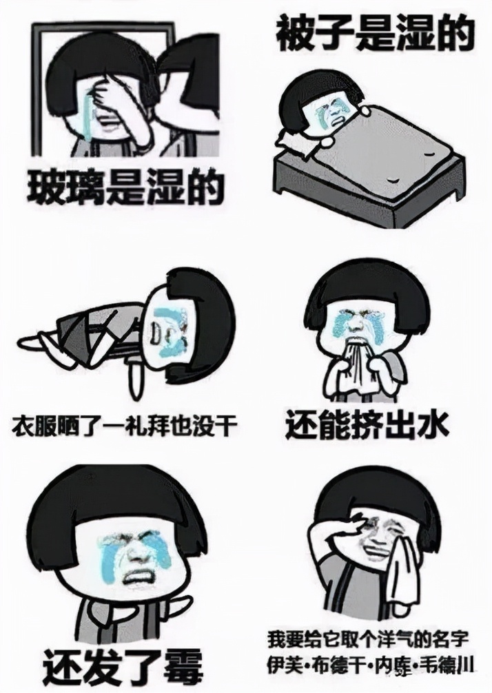 广东潮湿天气墙发霉怎么办,多雨天气柜子发霉