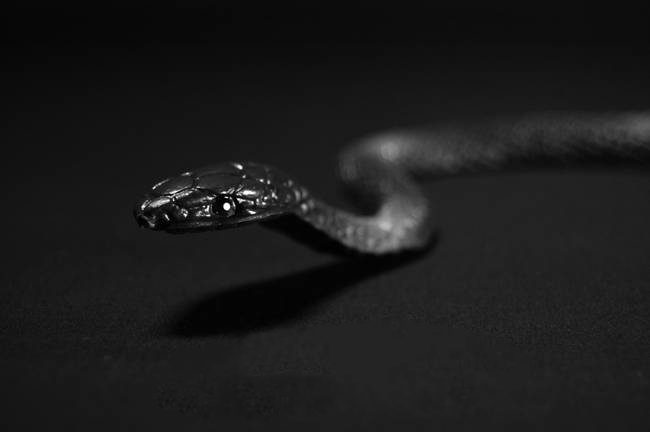 为什么人们会得恐鸡症,怕鸡恐惧症怎么治