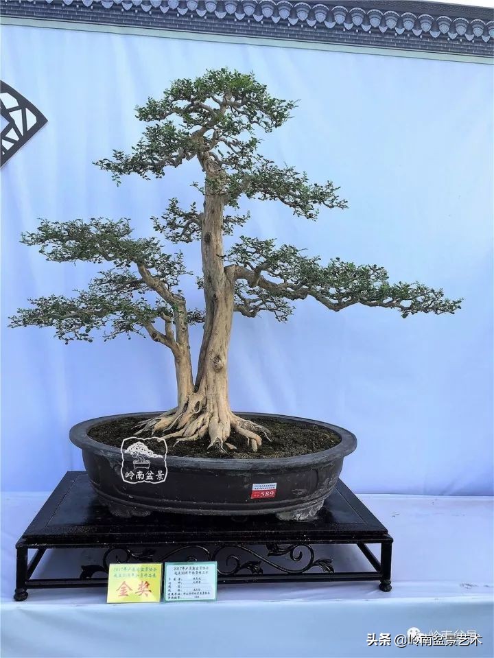 骞哥涔呬箙鐢滅敎铚滆湝,骞哥涔呬箙