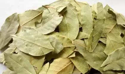 香料植物有哪几种,香料植物与成品解析