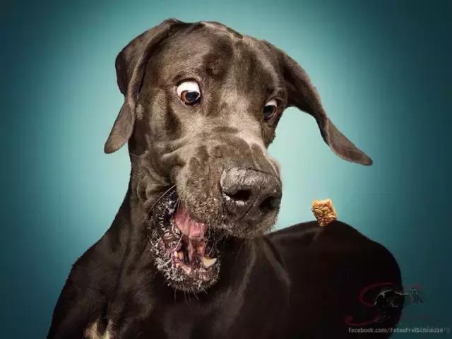 大家今年拍过最好看的照片,近期拍的最好看的照片