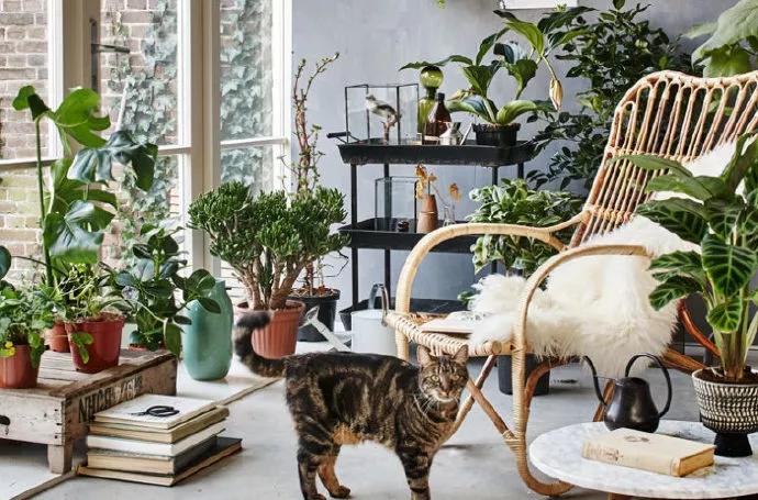 当你说别人装的时候是你不够优秀,不是别人在装逼而是你的层次低