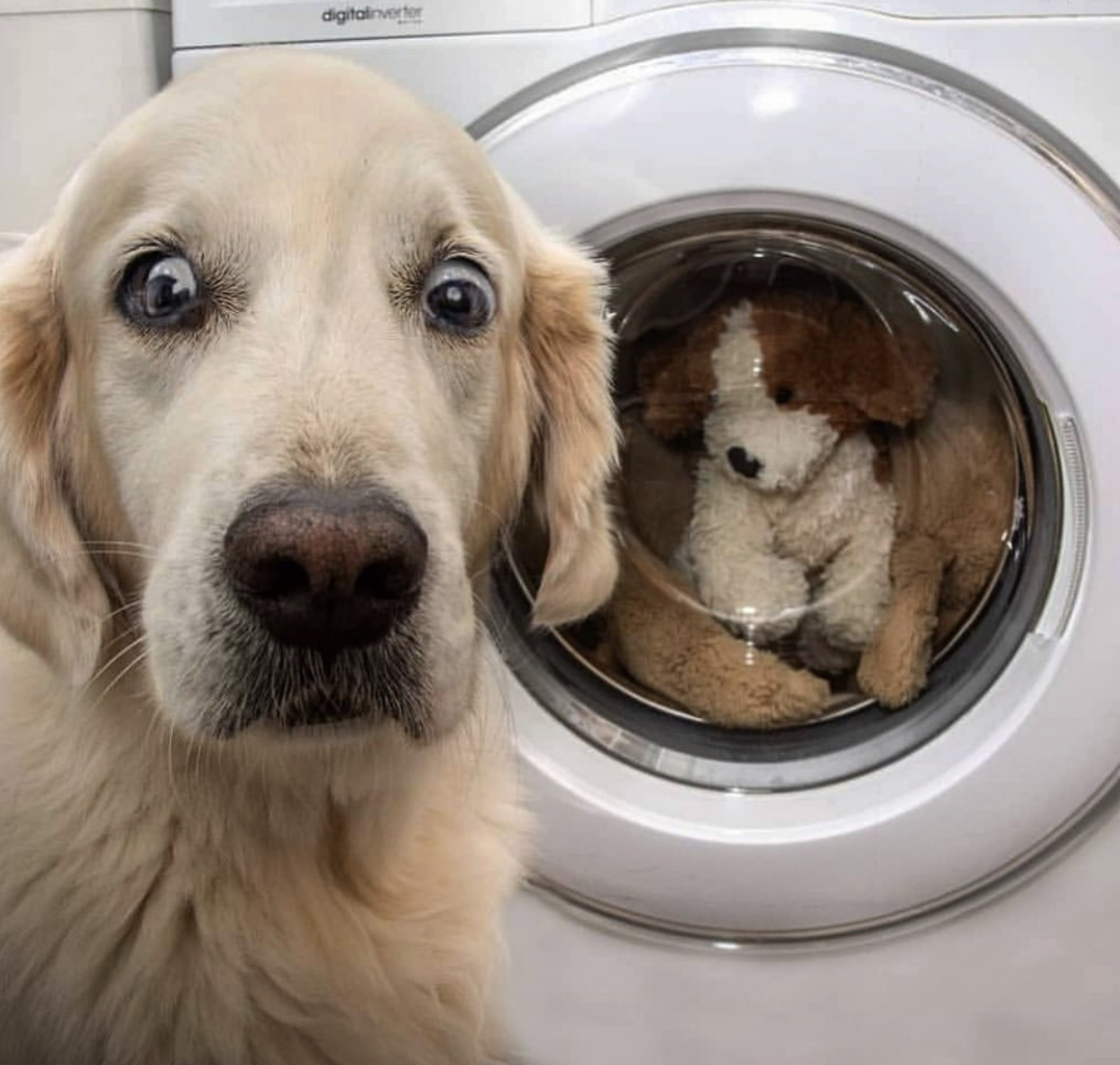 衣服脏了洗衣服的妙招技巧,怎么洗衣服才不会把衣服越洗越旧