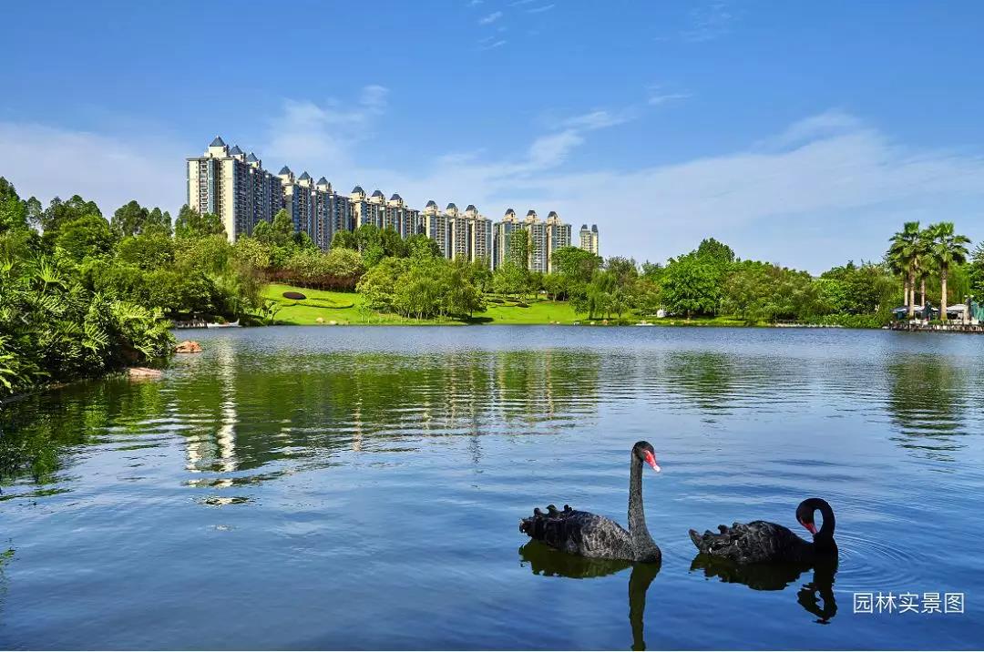 小葵花课堂开讲啦，恒大手把手教你致富秘笈！