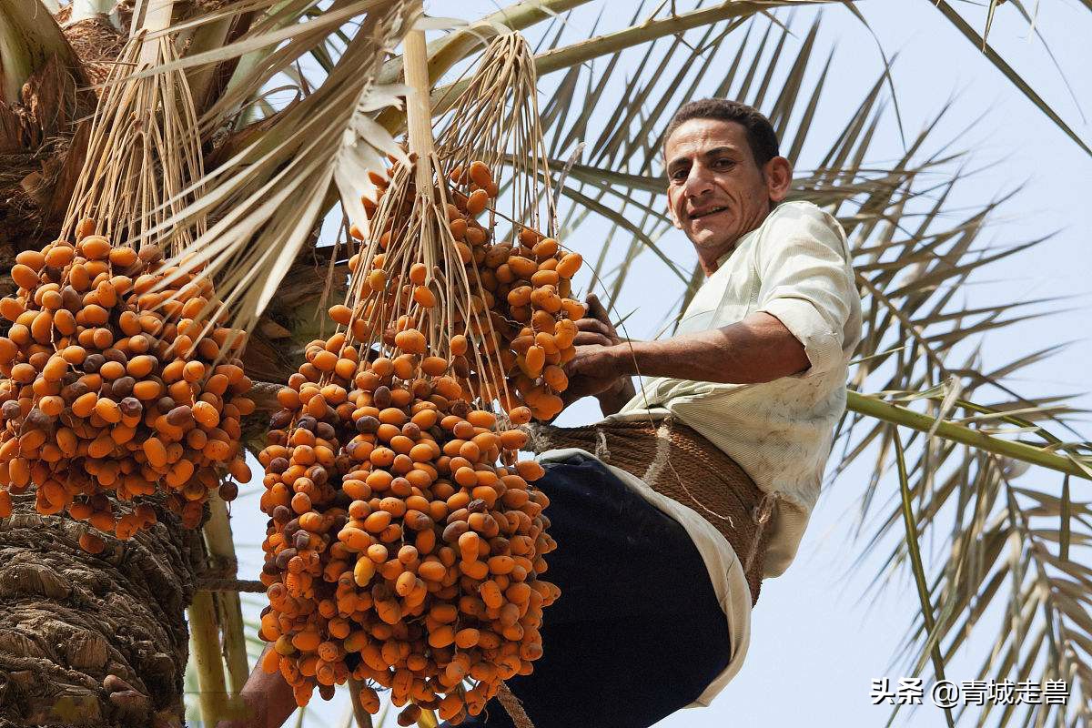 补钙补锌促发育,儿童生长缓慢什么食物补钙最好