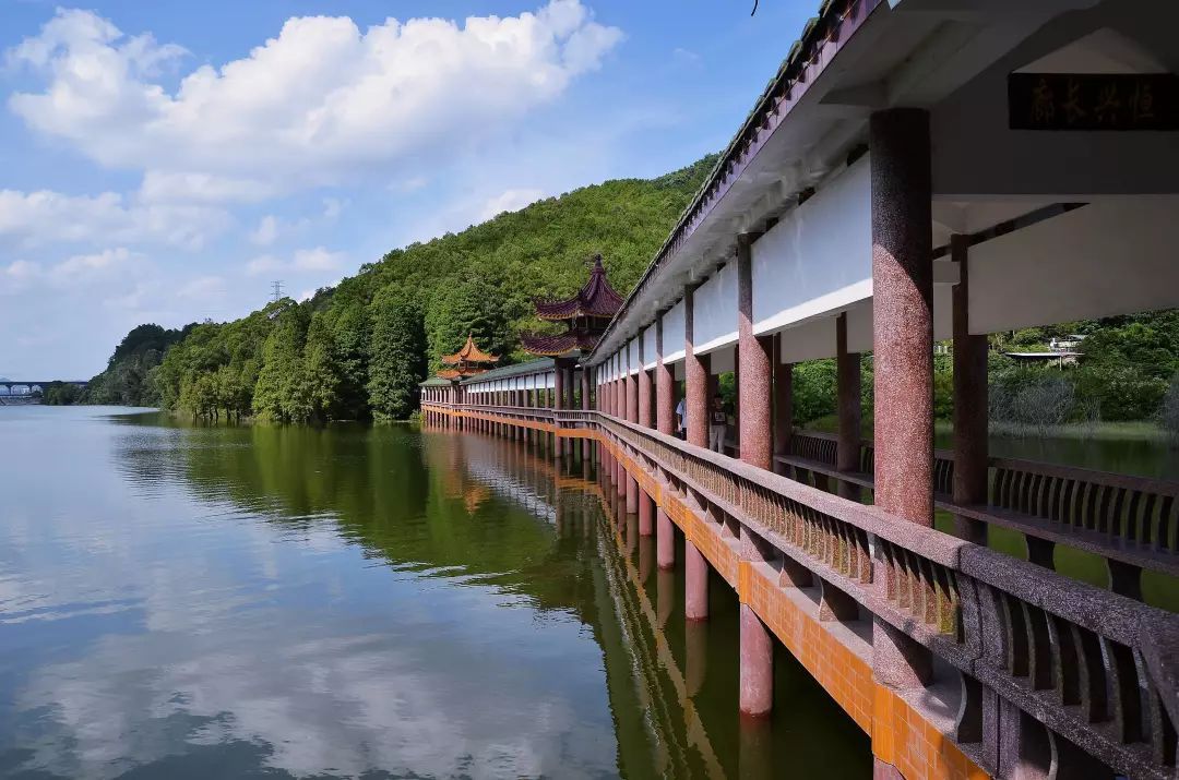 梅州游玩景点一日游免费,梅州免费旅游景点大全介绍