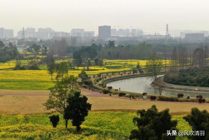 郫都区被遗忘的角落,成都郫都区和犀浦是一个地方吗