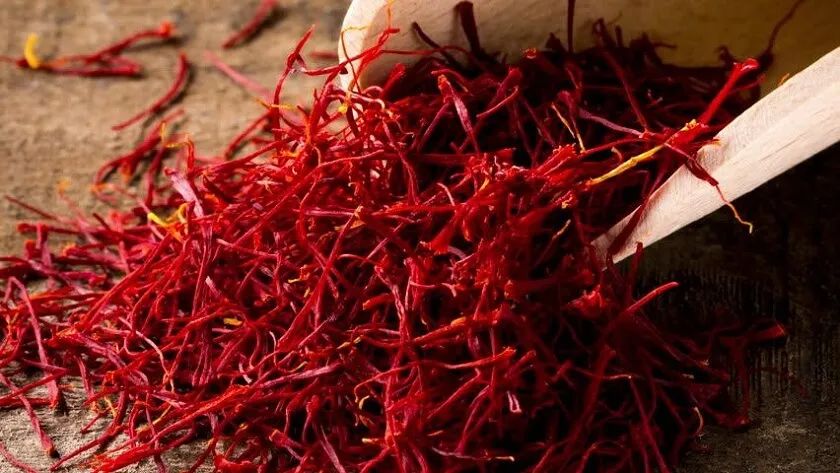 伊朗藏红花的由来,伊朗藏红花源头