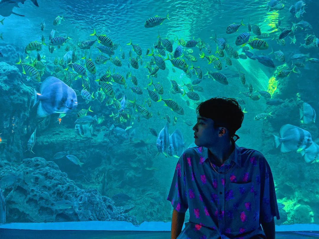 黄金海岸沙雕海洋乐园梦幻水世界,美爆了2019首届奇幻星空海洋馆