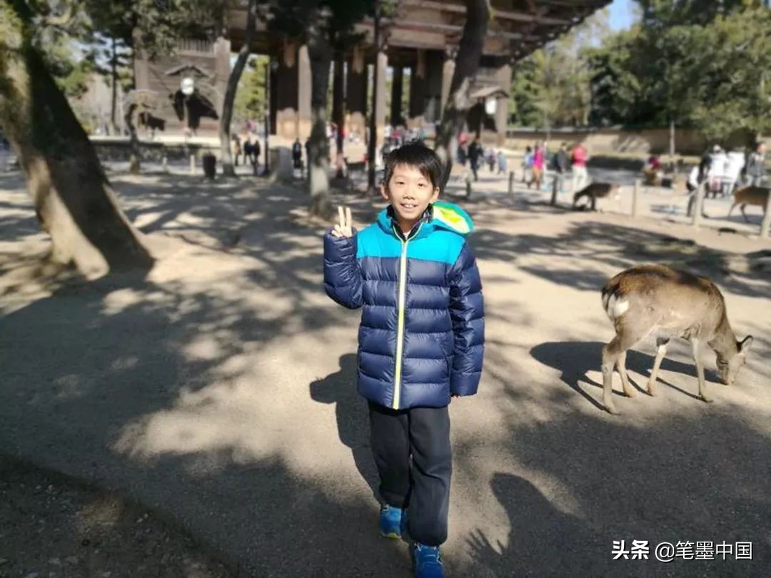 小小画家|用画笔记录自然！国际儿童画展梁梦哲专辑