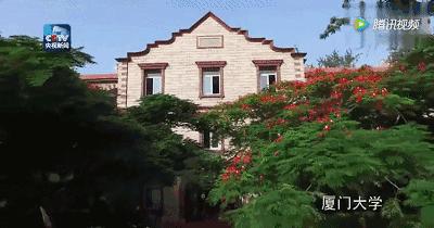 考上厦大研究生你需要多努力,双非本科想上厦大研究生