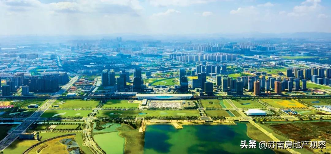 为什么我们都爱艺术,为什么我们都爱孩子却不爱父母