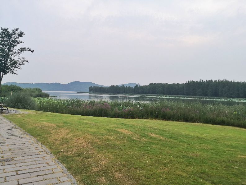 武汉本地人优点,武汉的优点和缺点