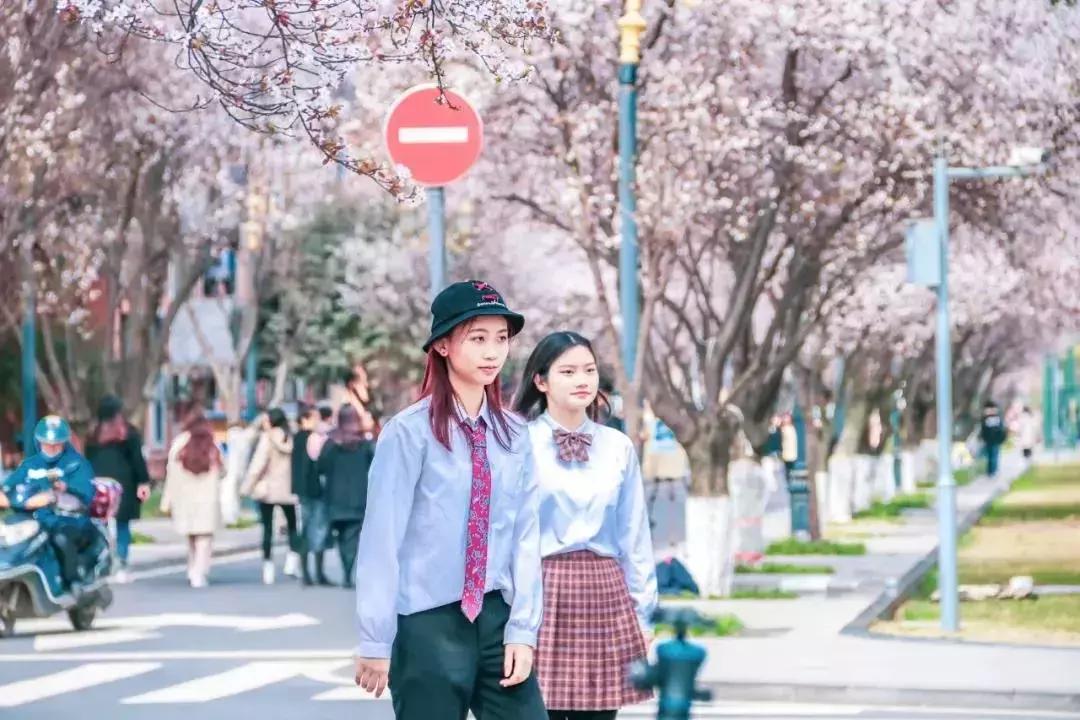 一头扎进春天里云南,美如仙境的西南民大