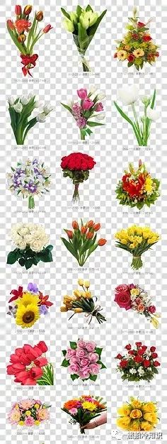 拍婚纱照必备知识,拍婚纱照前必备干货