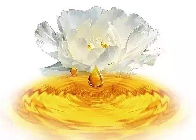 牡丹籽油哪个品种最好,牡丹籽油为什么最贵