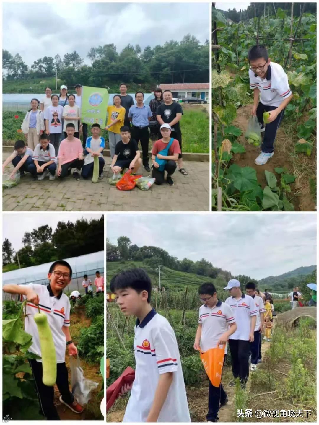 信阳市九中七年级学习成绩,信阳市第九高级中学还有吗