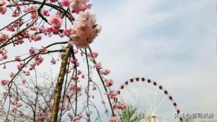 上海城隍庙豫园全部风景,上海除了城隍庙还有哪里好玩