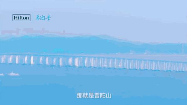 海花岛希尔顿海鲜自助餐团购,在希尔顿住酒店可以免费吃自助餐