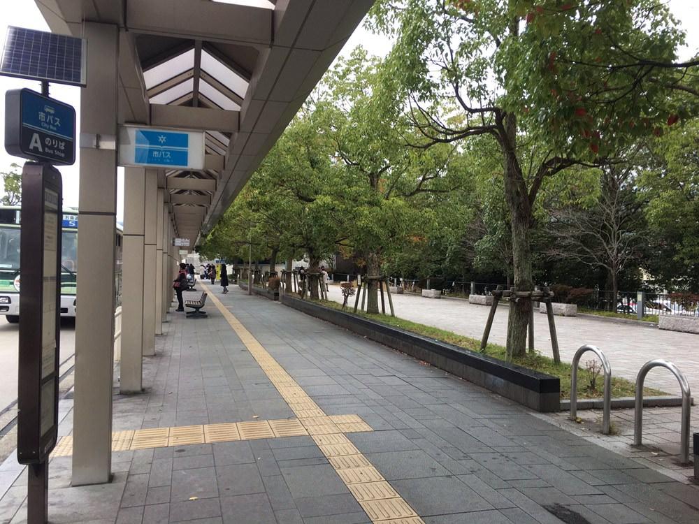 来日本买什么户外装备最好,日本户外露营装备推荐