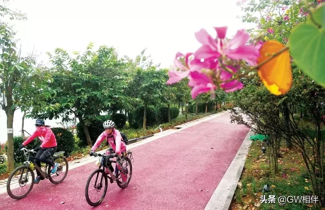 全球最美城市南宁,最美南宁