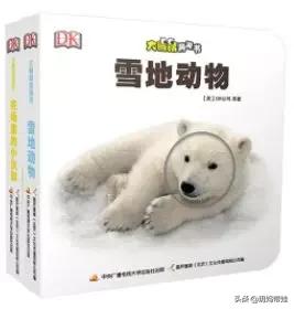 dk科普书怎么样,dk值得入手的书籍