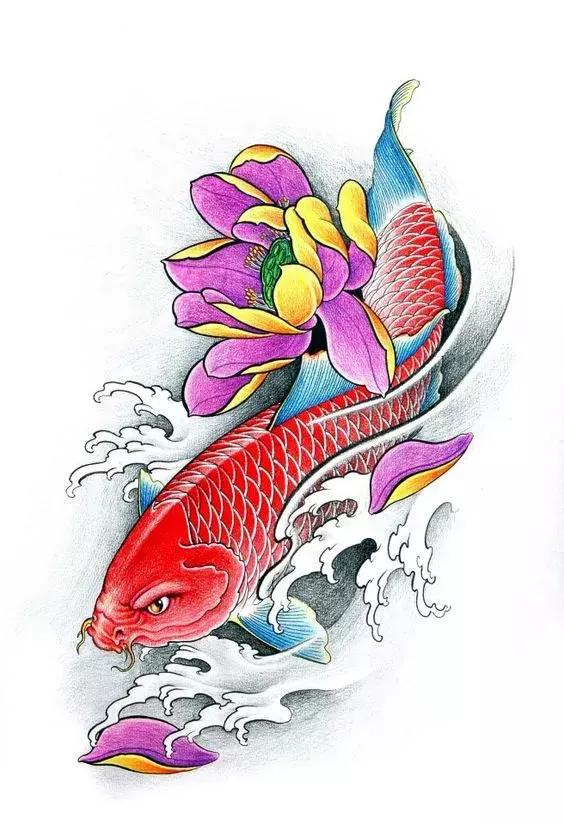 转运锦鲤简笔画,简笔画100种锦鲤图片