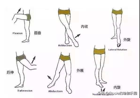 久坐臀两侧不舒服怎样练,臀平怎么练