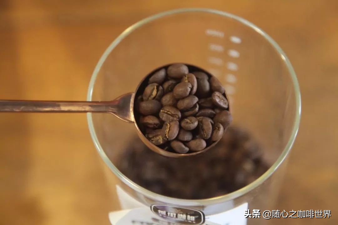 咖啡从采摘到制作过程视频,咖啡采摘加工过程