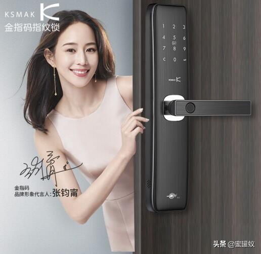 防盗门智能锁指纹锁十大品牌,中国人脸识别智能锁十大品牌排名
