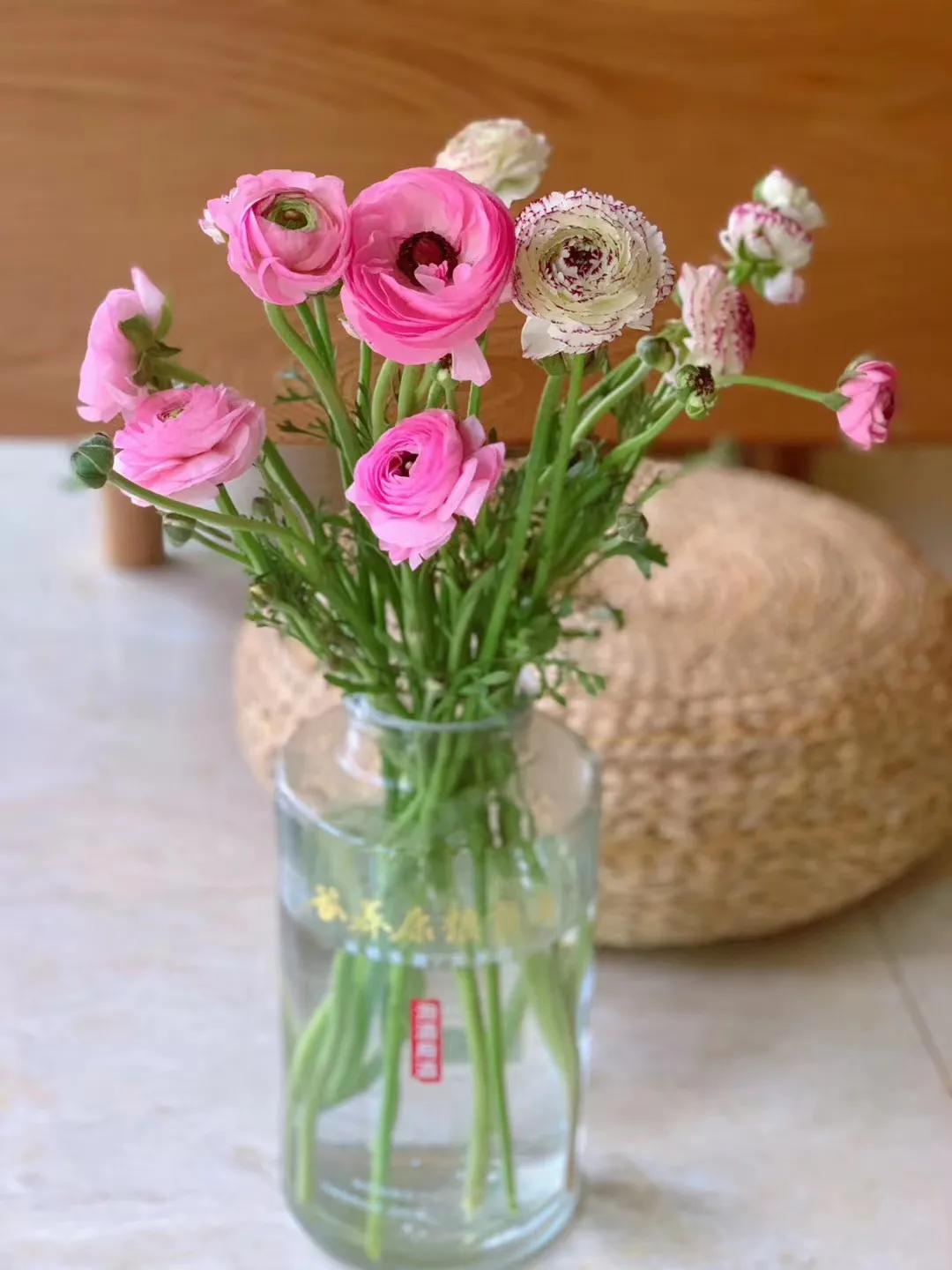 谷养康酒可以长期存放吗,谷养康酒瓶有什么用