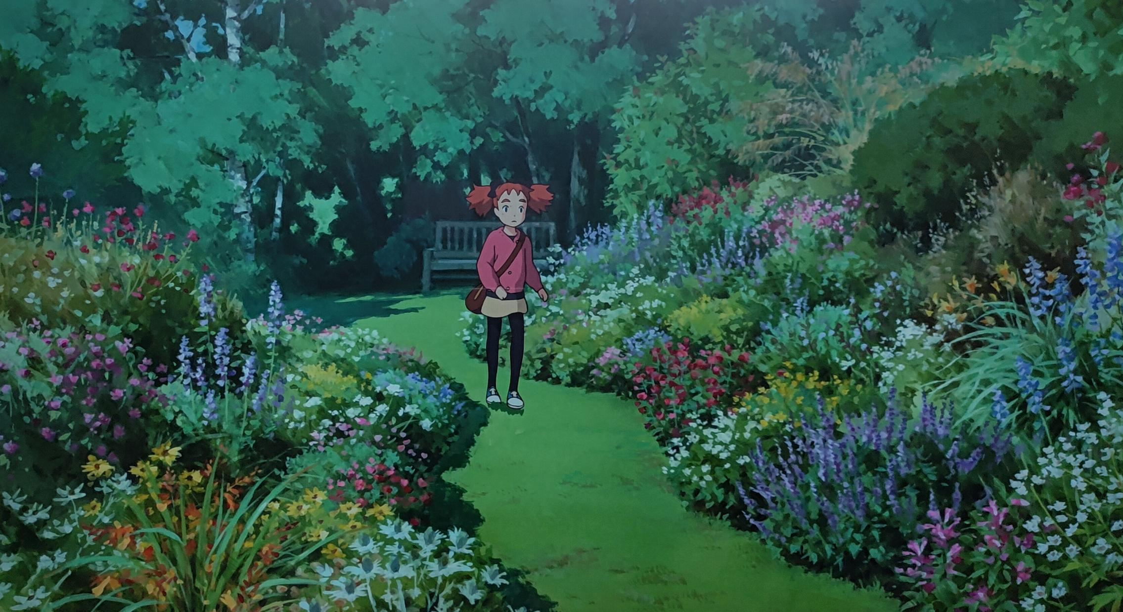 飞利浦55oled804,飞利浦65寸oled786评测